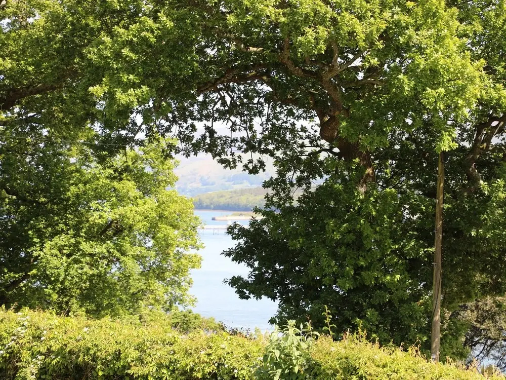 Bryn Teg Cottage