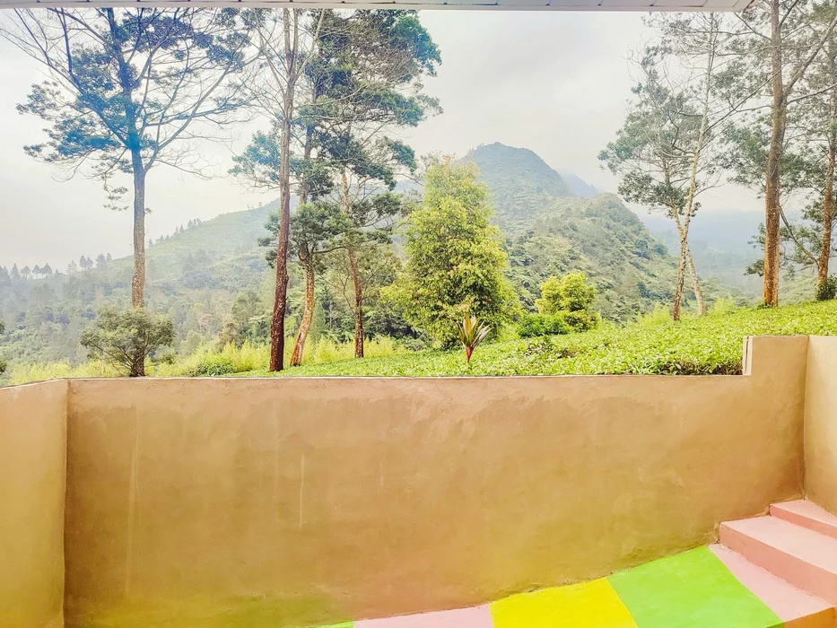 Napoleon Hills Tambi Tea Gardens View RedPartner