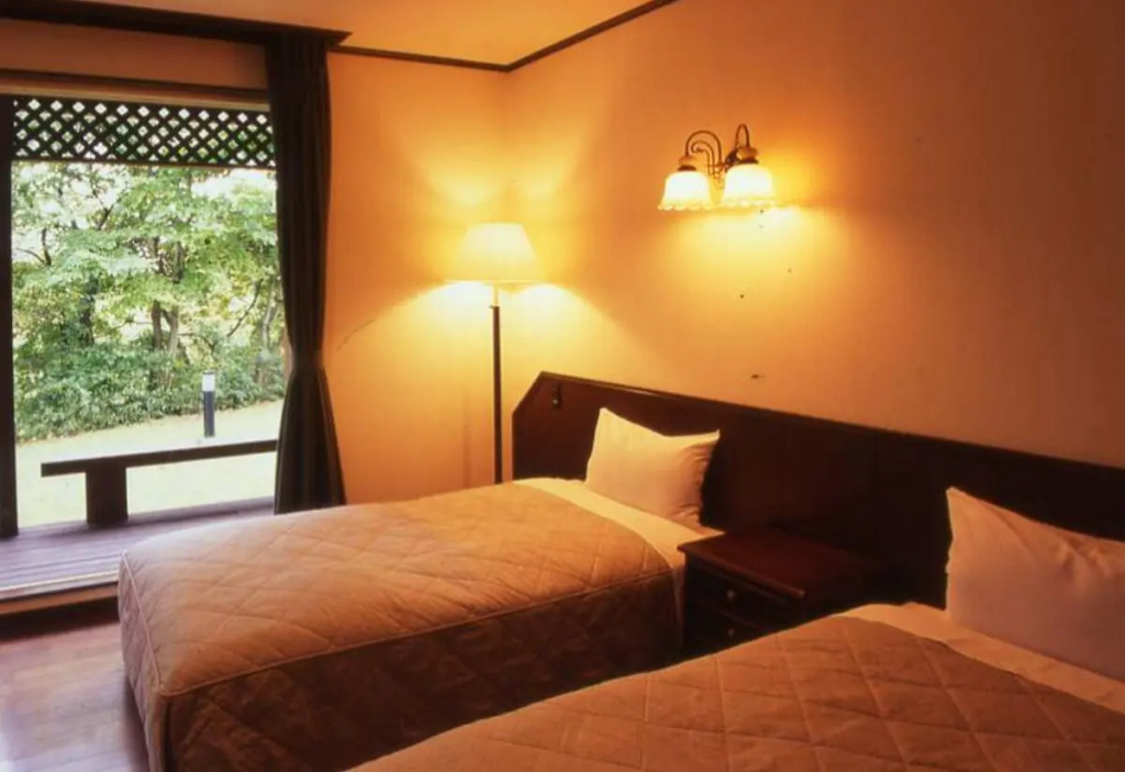 Standard Double room (twin beds)