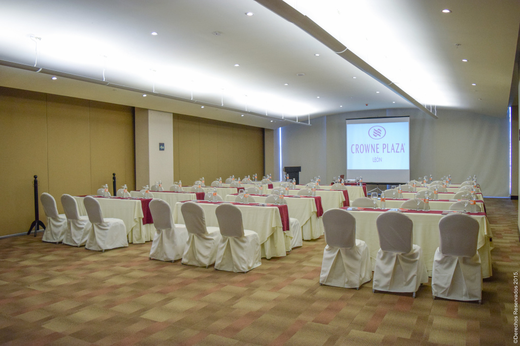 Crowne Plaza Leon by IHG - Général