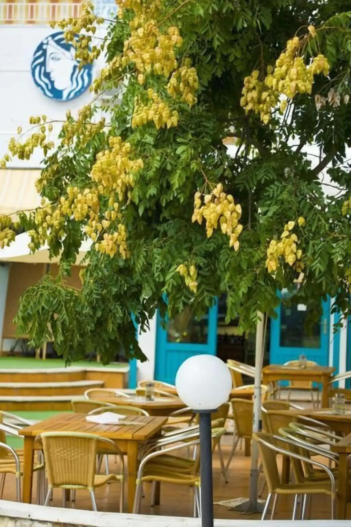 Hotel Kaliopa - Général