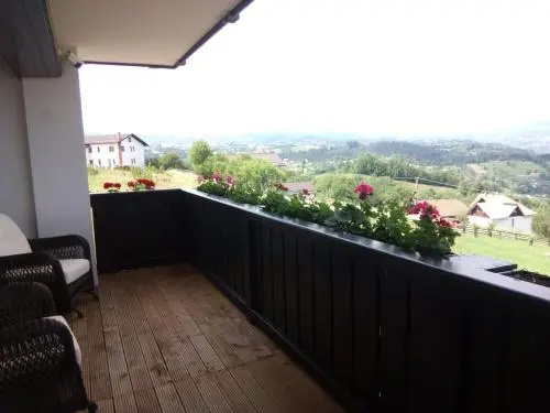 Balcony & Terrace