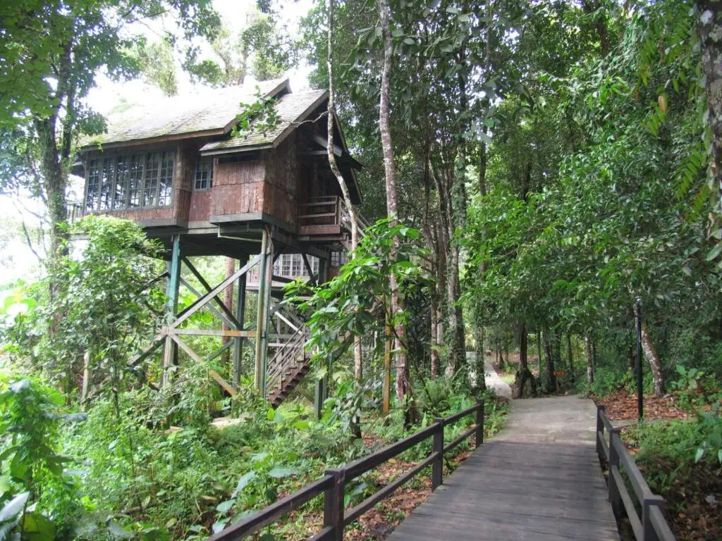 Permai Rainforest Resort