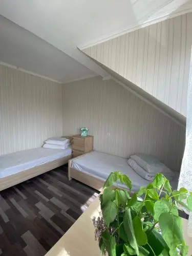 VIP Hostel