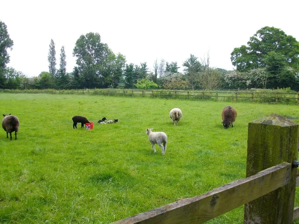 The Old Cowstall
