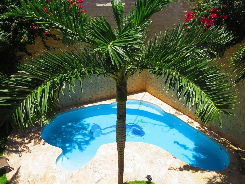 Hotel photo 35
