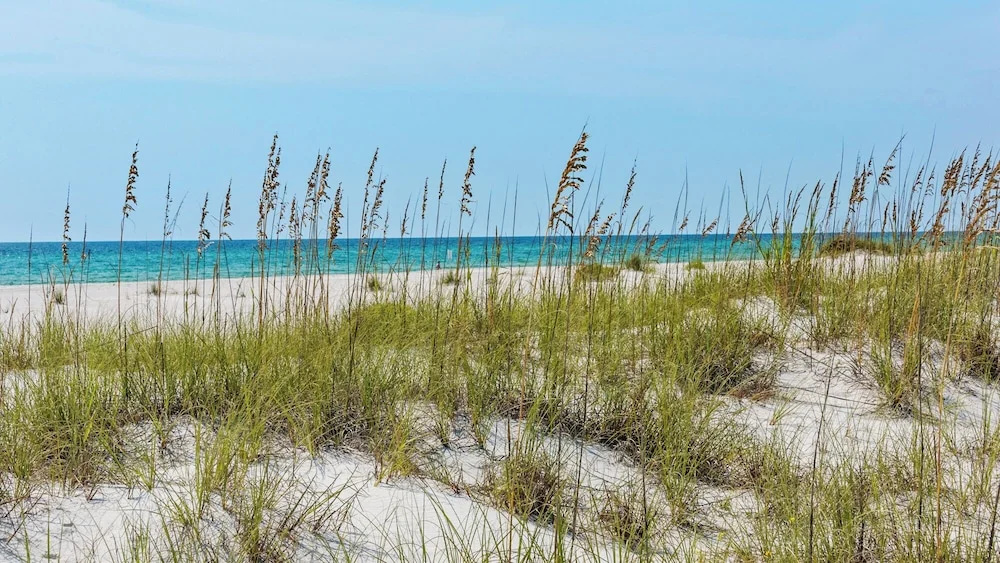 Amazing Inlet Beach Location for Beach, Shopping and Dining