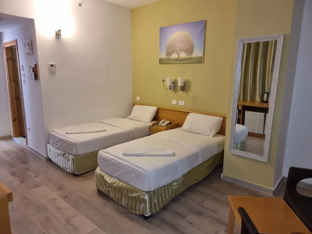 Standard Double room (twin beds)