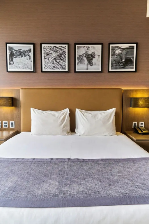 Hotel Terrado Rancagua - Chambres
