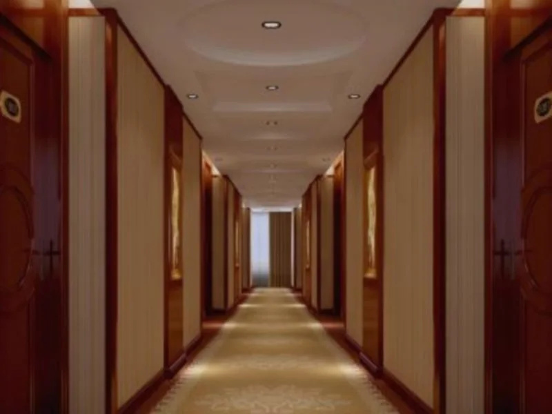 Vienna International Hotel Yuncheng Yanhu - Général
