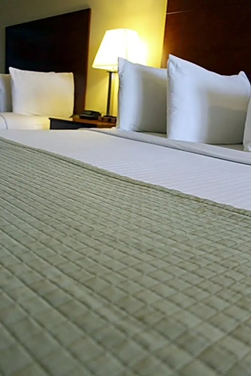 Southern Inn & Suites Lamesa - Chambres