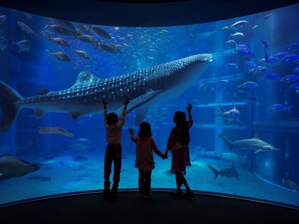 TAKUTO HOTEL Shinsaibashi 사진 37