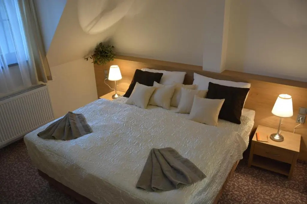 Hotel Zámek Velká Bystřice - Chambres