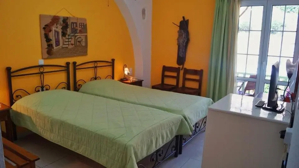 Standard Double room (twin beds)