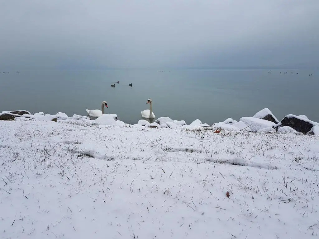 Sába-Ház - фото 17