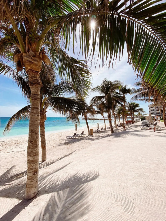 Beach & Waterfront