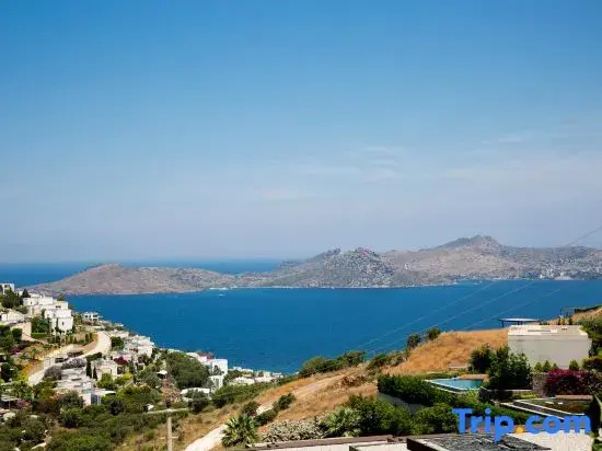 BD417-6 Bedroomed Villa With Pool in Yalikavak