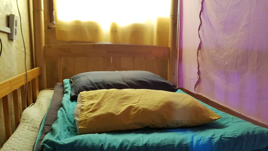 Springflower Guesthouse - Hostel — 2