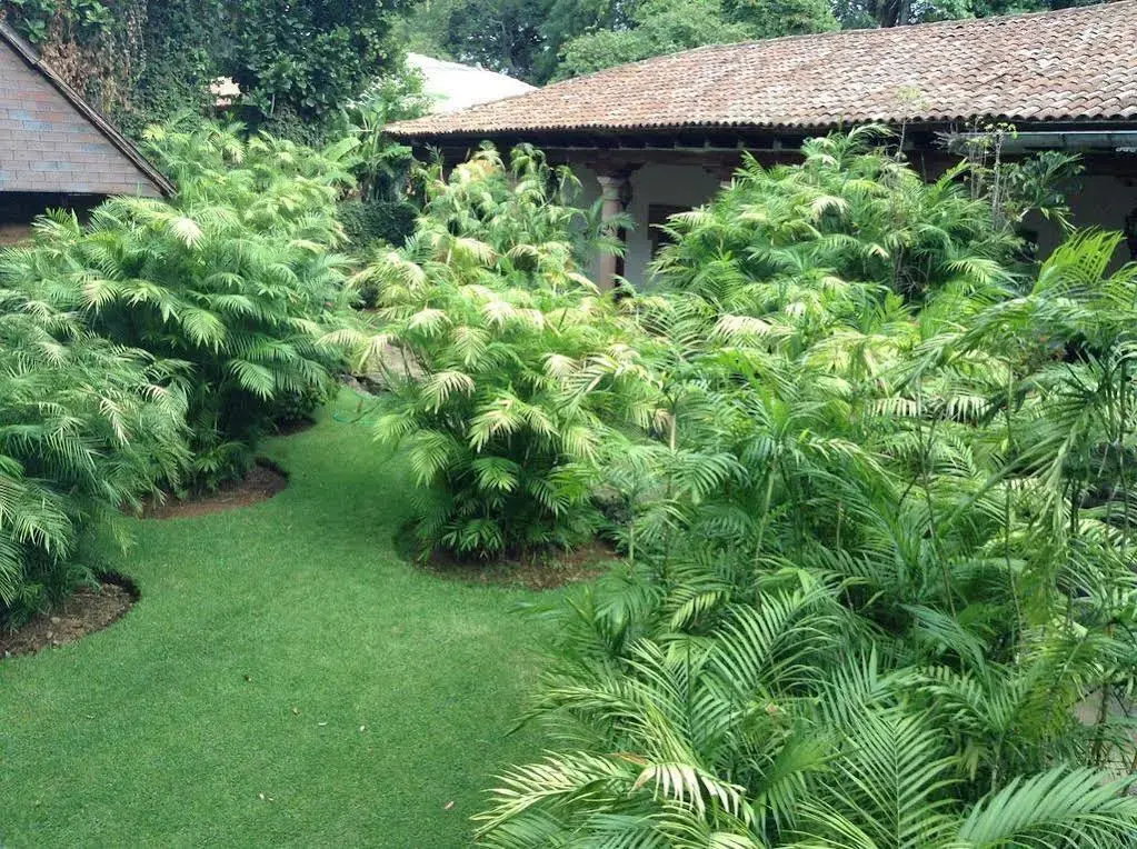 Hacienda San Pedro - фото 16