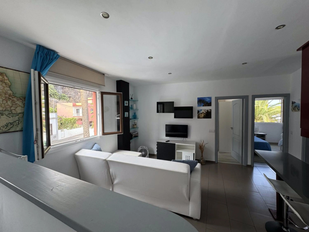 Phoenix Canariensis — 4