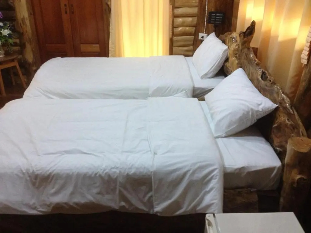 Standard Double room (twin beds)