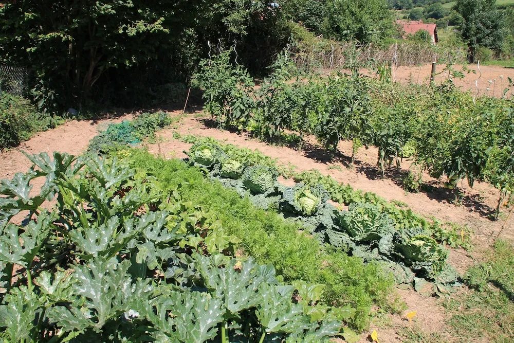 Le Haut Mesnil - 3
