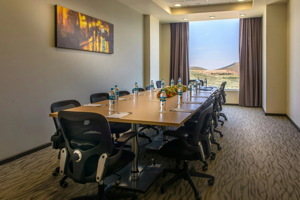 Hampton Inn by Hilton Zacatecas - Général