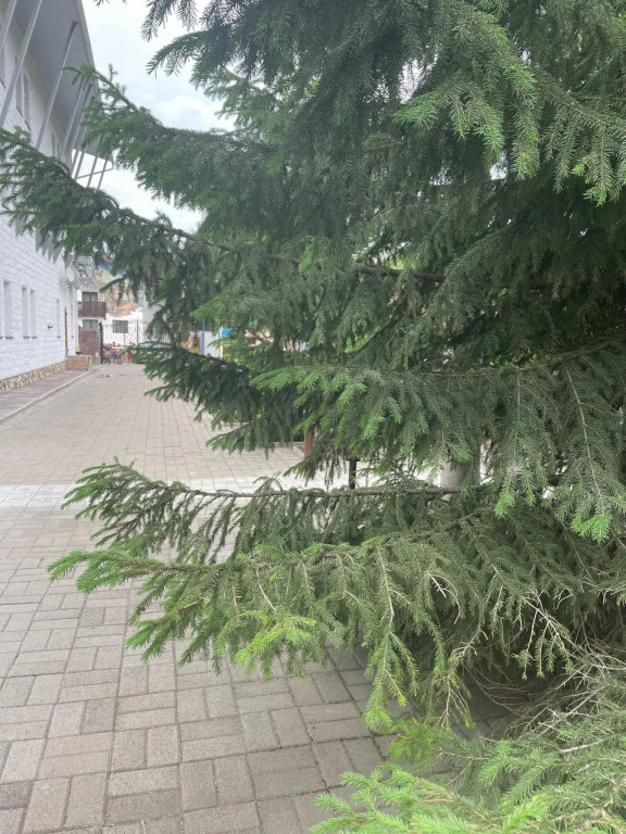 Люкс Superior в Арслан