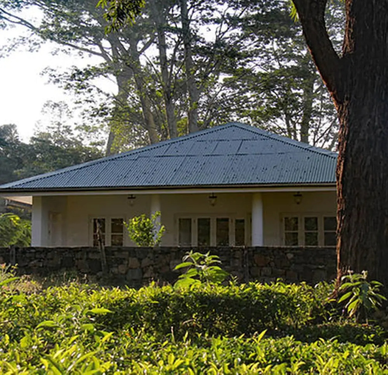 The Planters House - Général