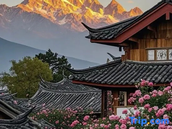 Yiyu | Homestay Muyu Liubai · Cloud Projection Healing Boutique Stay (The Old Town of Lijiang)