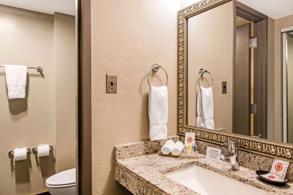Comfort Inn Largo-Washington DC East - Général