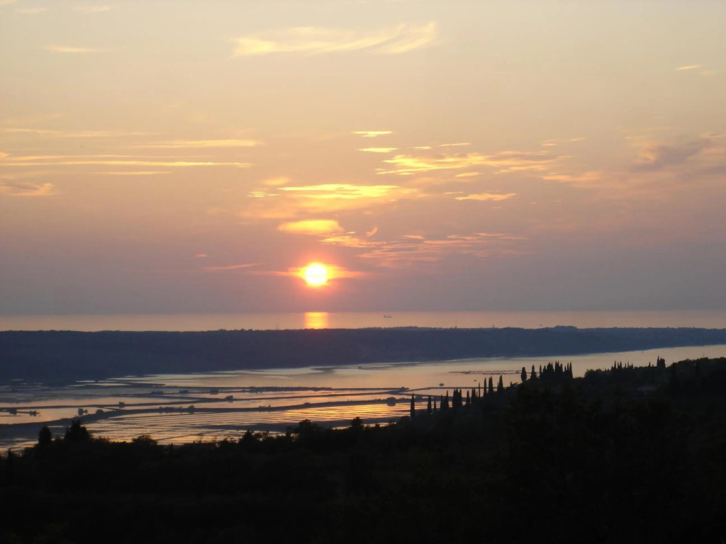 Apartma Medoši