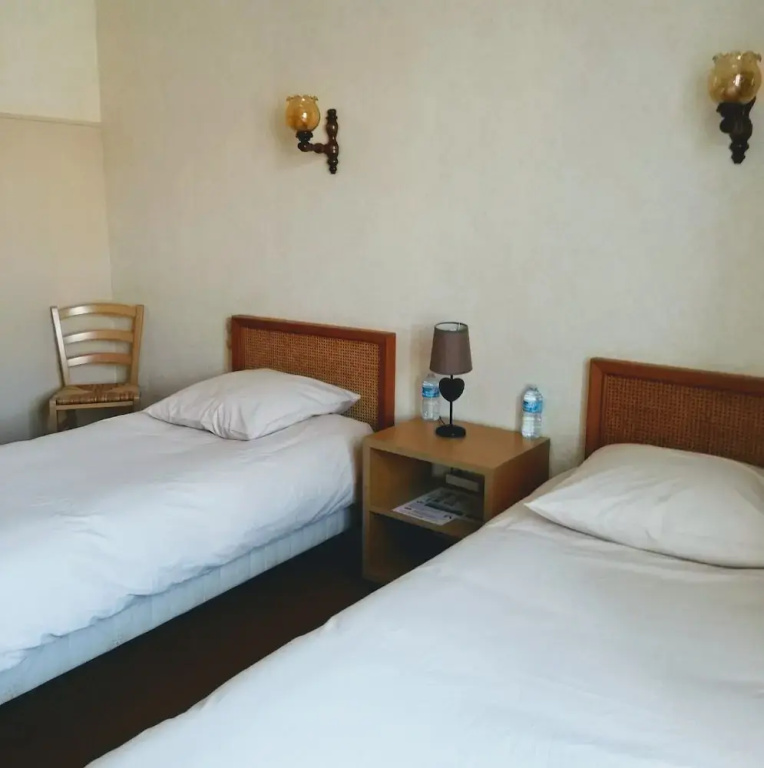 Economy Double room (twin beds)