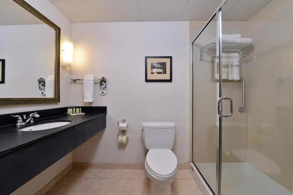 Holiday Inn Madison at The American Center by IHG - Chambres
