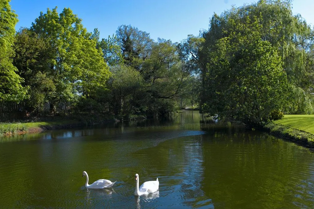 Tuddenham Mill Luxury Hotel - Général