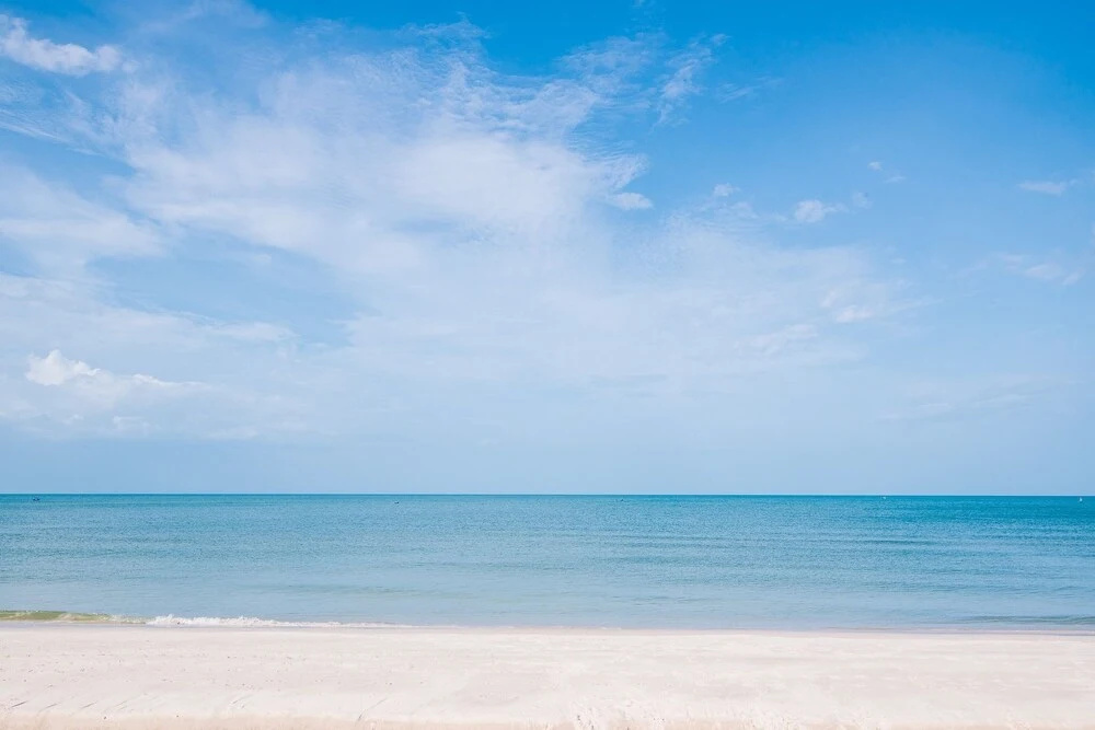 Beach & Waterfront