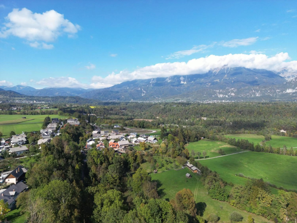 Bled Home