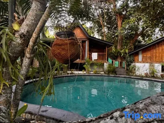 Twins Bungalow Design Bomb
