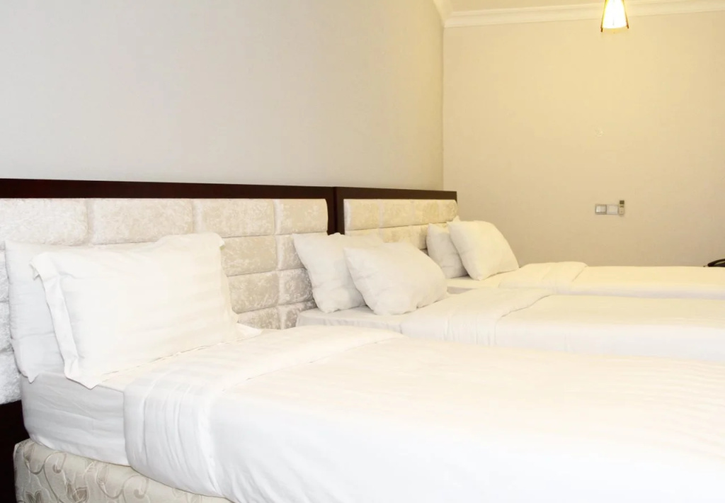 Nejobugg palace hotel - Général