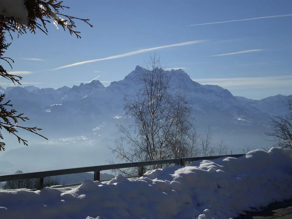 Castel Club Leysin Parc Resort - Général