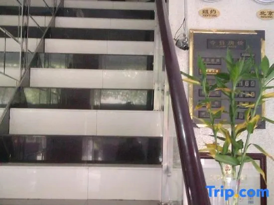 Balcony & Terrace