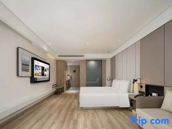 Atour Hotel Dinosaur Park Changzhou - Chambres