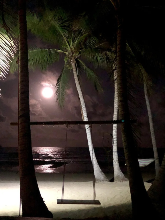 Hotel photo 42