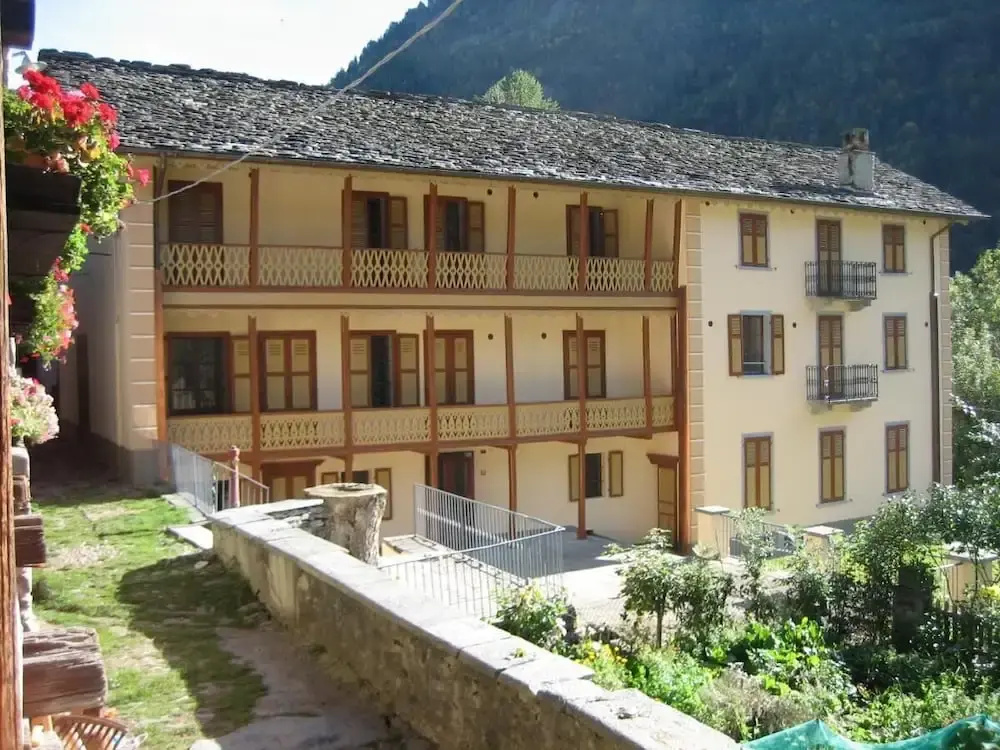 Mirtillo Alpino