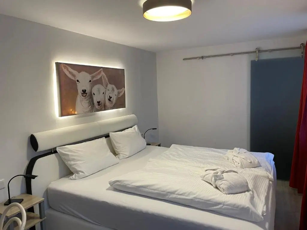 Standard Double room (full double bed)