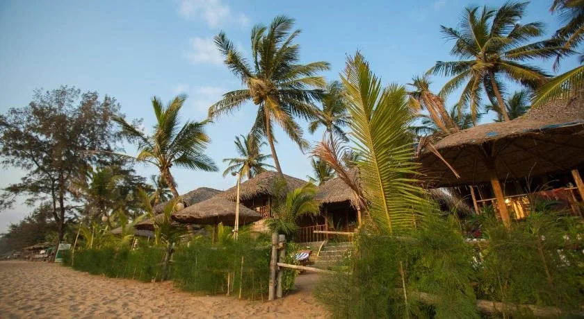 Beach & Waterfront
