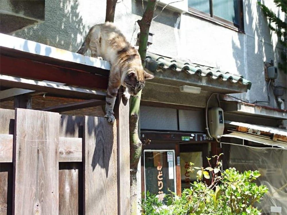 NAKAZ Machiya , Osaka Umeda 사진 14