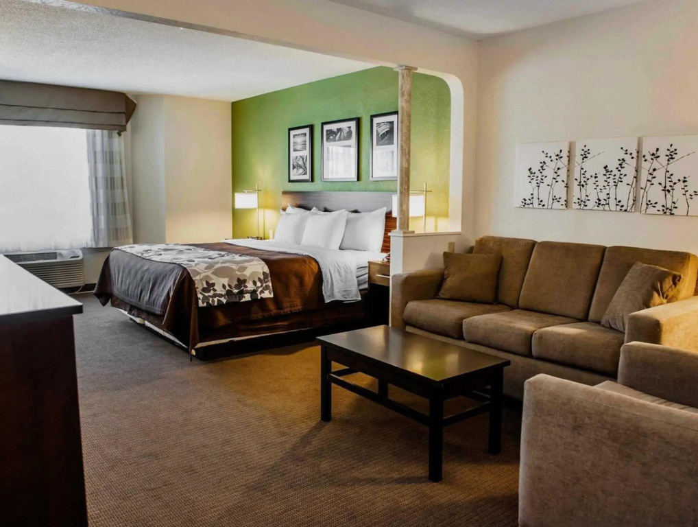 1 Bedroom Suite