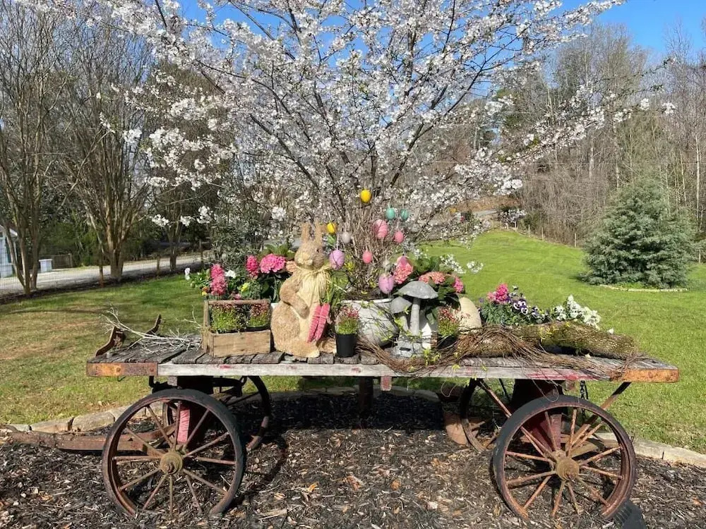Yellow Daisy Bed and Breakfast