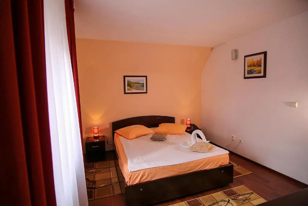 Ciric Hotel - Chambres